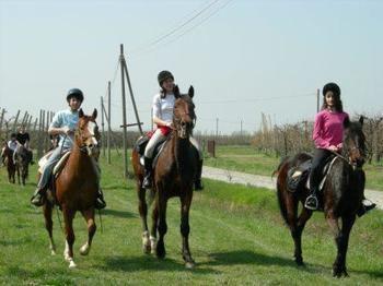 Agriturismo La Riccardina Budrio  Kültér fotó